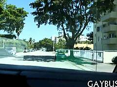 Intriguing Pleasuring Blowjob With Homosexual In Pov