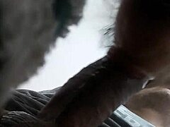 Chubby Redwood and Ms. Mowett engage in a casual blowjob session