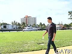 Free Homosexual Sex Videos