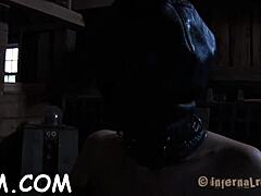 Hey, wanna see me shock this bound chick’s tits and bare pussy?