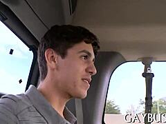 I’m so into this wild homosexual bear sex right now.