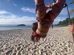 watch this shibari session with latina anomaly dark, focusing on her small tits