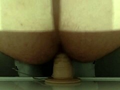 exploring intimate connections with toys and partners