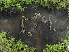 Mistress In Lust Epidemic Answers The Call Seductively