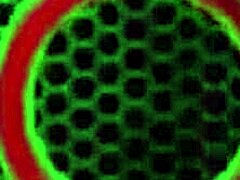 Julia Ann's busty milf body gets cum covered. Her huge tits shine with cumshots.