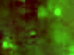 brazilian ass in intriguing view