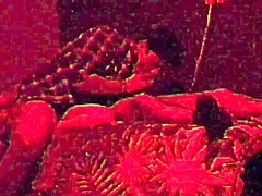 fucking my straight married friend hard in the ass