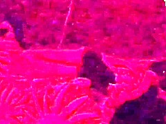 fucking my straight married friend hard in the ass