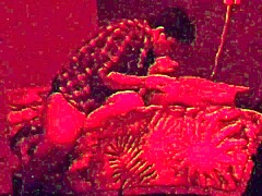 fucking my straight married friend hard in the ass