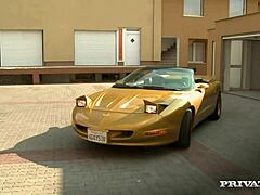 I love watching roxy r's rough riding on that big cock.