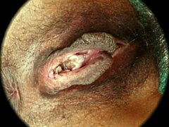 Intriguing close-up of hairy pussy in sweet nest hd sex scene. By rumesco.