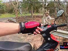 Asian Teen GF Sucks And Fucks Big Cock Boyfriend Hard!