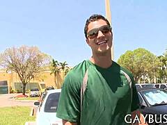 exploring homo sapiens lifestyle