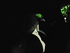 tacoandstrwbrrys adventure strwbrry my lul steppa