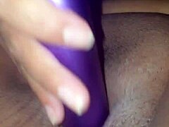 हिस लैप पर क्विकी।