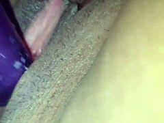 हिस लैप पर क्विकी।