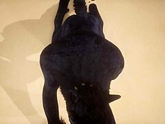 Damn, watch these gay wolves pound hard in POV action!