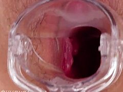 Makoto Shiraishi returns in pussy encyclopedia 😍