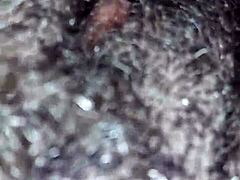 Big L Amateur Action Sparks Wild Curiosity