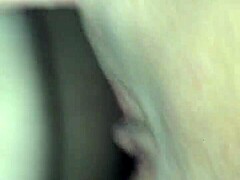 trimmed mexican cock mov.