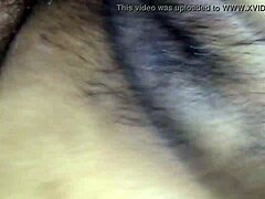 Europa Brazilera In Florida