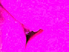 he stuck his finger in my ass while he fucked me