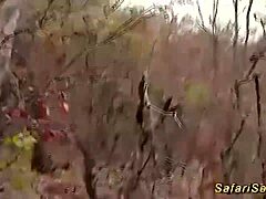 Extreme African safari fetish sex, take it deep!