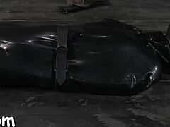 Why is this hotty collared with legs forced wide for nasty action?