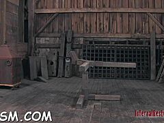 Hardcore banging action in this wild clip! 💥