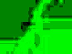 बायोकोक: अंतरंग बायोशॉक एनिमेशन