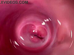Ever seen a camera inside my creamy tight pussy?