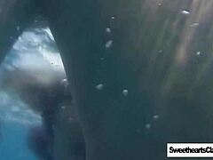 Lesbian Swimming Team in Classic Remastered Action