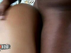 how does kapri styles, black babe with big ass, take that monster black cock?