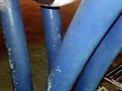 I had sex with friends in the public square