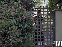 Chad Alva and Charlotte Sins Engage in Taboo Blowjob and Ass Action