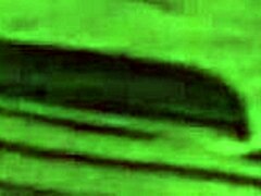 Vintage Erotic Drawings with Sensual Charm