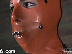 soft thraldom porn couple fucking?