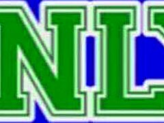 The mature amateur delivers an erotic hand and blowjob, leading to a cumshot.