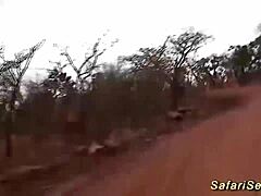 Fetish porn in the great outdoors with an African and European couple