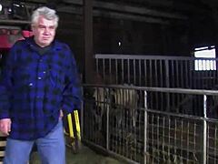 Die Ulla Wackelt Das Ist Fein