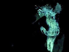 Explore the wonderful world of vintage pornography with retro mature milfs