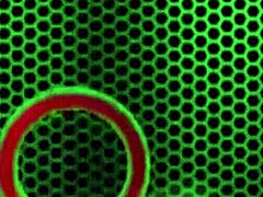 Redhead Siri teases with huge tits and big toy under the sun.