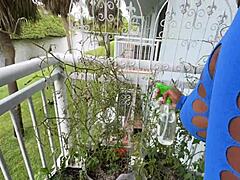 Sensual Lucy Hayz Waters Plants in Bedroom Scene