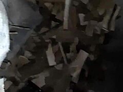 पहले मैंने अपनी पड़ोसी को फूलों की प्रशंसा करने के लिए बुलाया और फिर उसके मुंह में चोदा - लड़कियाँ फ्लाई ऑर्गेज्म