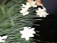 पहले मैंने अपनी पड़ोसी को फूलों की प्रशंसा करने के लिए बुलाया और फिर उसके मुंह में चोदा - लड़कियाँ फ्लाई ऑर्गेज्म