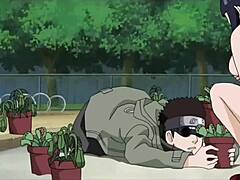 best unseen anime collection nr4 awaits you