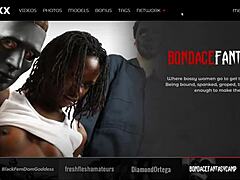 Hey Gemini Lovell, What’s Up with These Wild Fetish Clips?