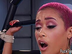 i play with my pink hair ebony pussy using toys and dildo close up insertion