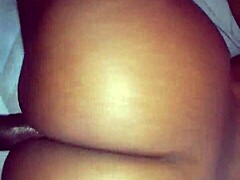 इन बैकशॉट्स को क्या परफेक्ट बनाता है?