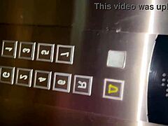 i met a stranger in the elevator and she gave me a blowjob